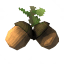 Acorns icon