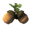 Acorns icon