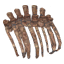 Asksvin Ribcage icon