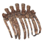 Asksvin Ribcage icon