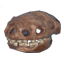 Asksvin Skull icon