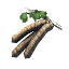 Birch Seeds icon