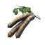 Birch Seeds icon