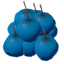 Blueberries icon
