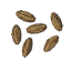 Carrot Seeds icon