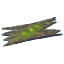 Ancient Bark icon