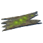 Ancient Bark icon