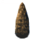 Fir Cone icon