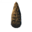 Fir Cone icon