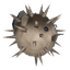 Pufferfish icon