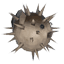 Pufferfish icon