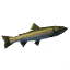 Pike icon