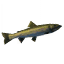 Pike icon
