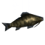 Giant Herring icon