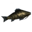 Giant Herring icon