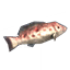Grouper icon