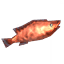 Coral Cod icon