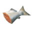 Raw Fish icon