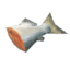 Raw Fish icon
