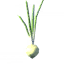 Onion icon