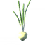 Onion icon