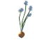 Seed-onion icon