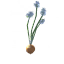 Seed-onion icon