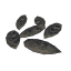 Onion Seeds icon