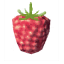 Raspberries icon