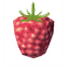 Raspberries icon