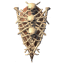 Bone Tower Shield icon