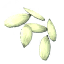Ivy Seeds icon