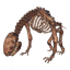 Asksvin Skeleton icon