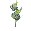 Beech sapling icon