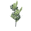 Beech sapling icon