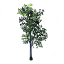 Birch Sapling icon