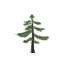 Fir Sapling icon