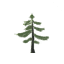 Fir Sapling icon