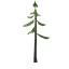 Pine Sapling icon