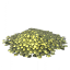 Coin Pile icon