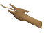 Wood Dragon Adornment icon