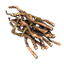 Yggdrasil Wood Stack icon