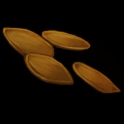 Pumpkin seed