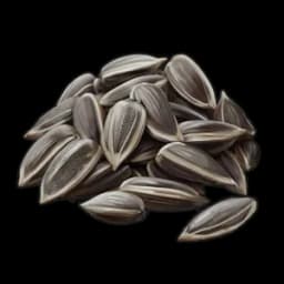Sunflower seed