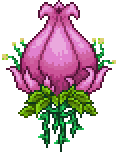 Plantera