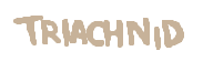 Triachnid official boss-name graphic