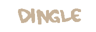 Dingle official boss-name graphic