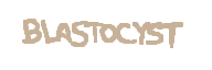 Blastocyst official boss-name graphic