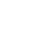 Cobweb in-game appearance